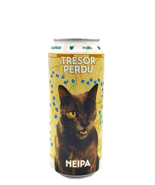 TRÉSOR PERDU