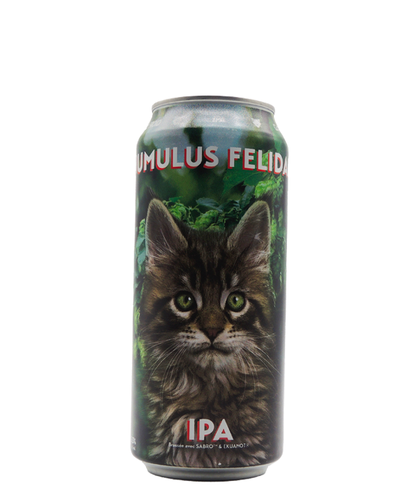 Humulus Felidae