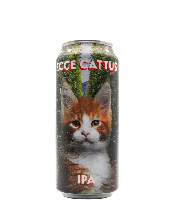Ecce Cattus