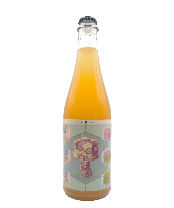 Veux-tu une bière, Lupulone, GABA, Bière microbrasserie, Livraison Montréal