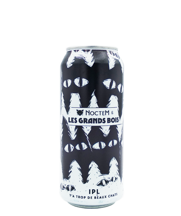 Y'a trop de beaux chats