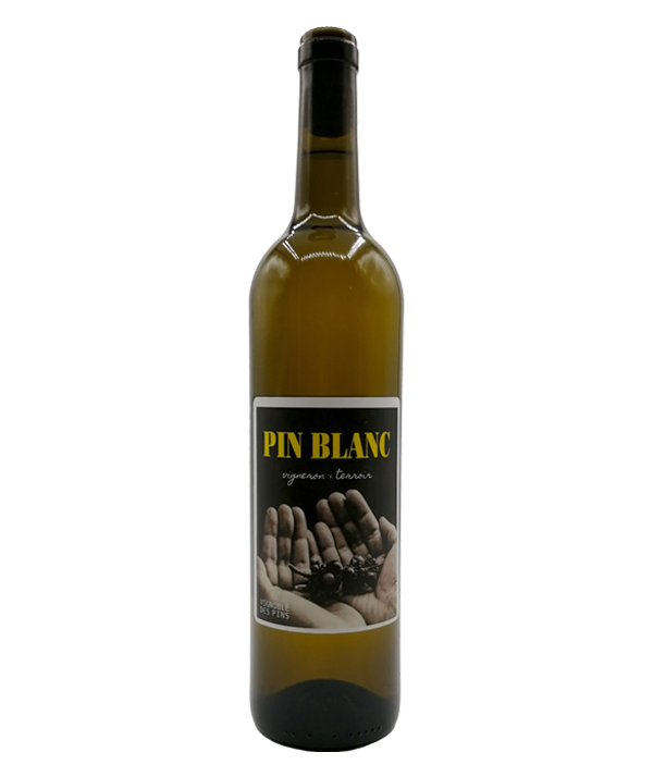 Veux-tu une bière, Vignoble des pins, Pin blanc, vin blanc, Livraison Montréal