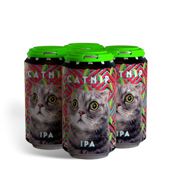 Catnip (4-Pack)