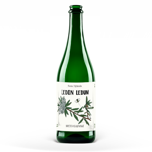 Ledon Ledum