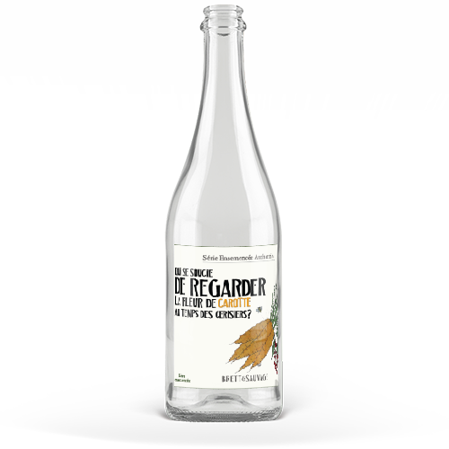 Qui se Soucie de Regarder la Fleur de Carotte au Temps des Cerisiers?