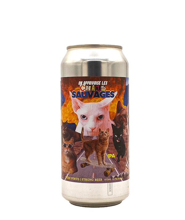 On apprivoise les chats sauvages